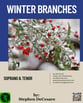 Winter Branches Vocal Solo & Collections sheet music cover